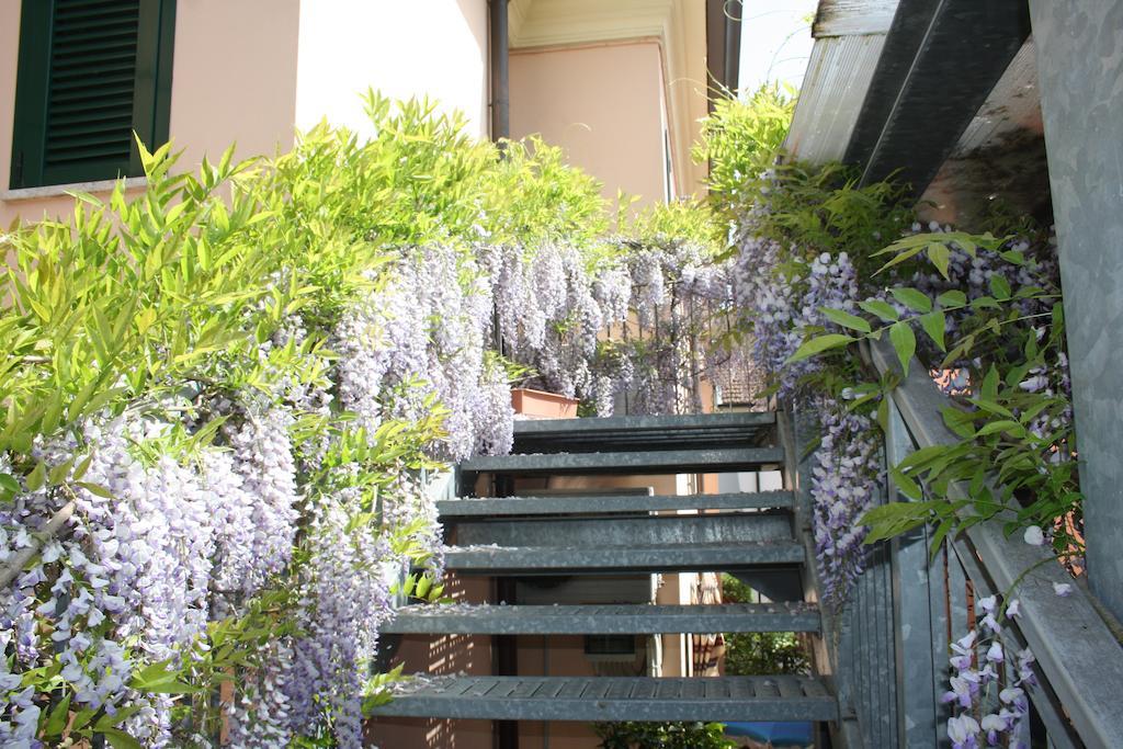 Hotel Villa Grazia 체제나티코 외부 사진